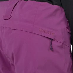 Alternative view of Am billigsten ???? AK Burton Gore-Tex Summit Winterhose Grapeseed Damen ????