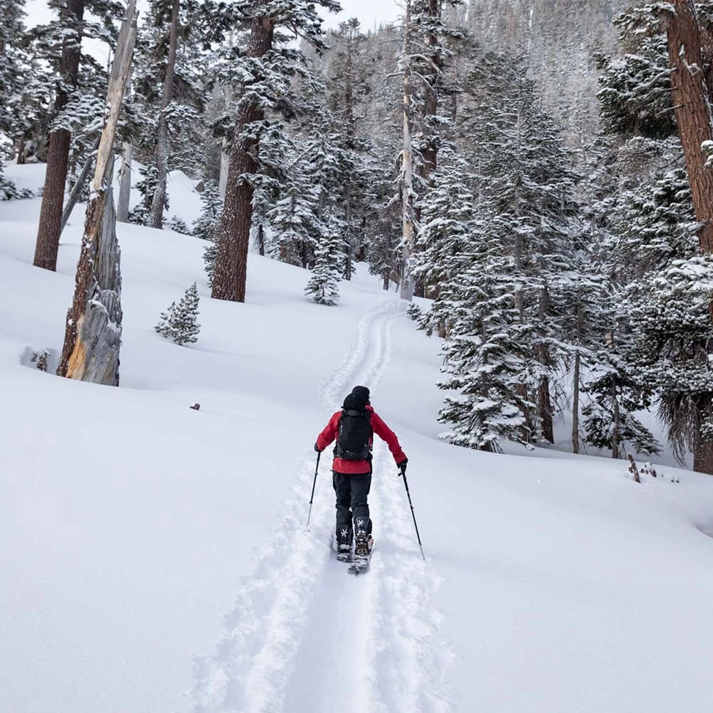 Angebote 🎉 Jones High Sierra Schneehose Stealth Black Herren 👍 6 Angebote 🎉 Jones High Sierra Schneehose Stealth Black Herren 👍 – Bild 6